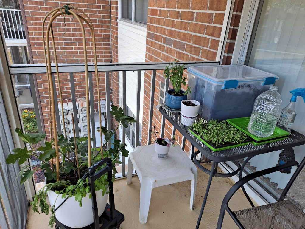 Two Garden Sanctuaries: A Prayer in Soil and&nbsp;Light