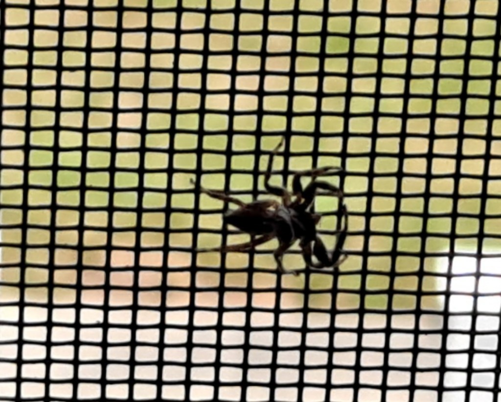 A message of welcome, love, and respect—what more could any being ask&nbsp;for?